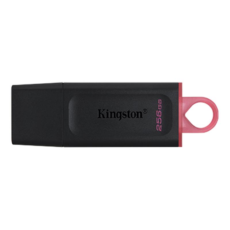 Флеш-накопичувач USB3.2 256GB Kingston DataTraveler Exodia Black/Pink (DTX/256GB) | ARAGO