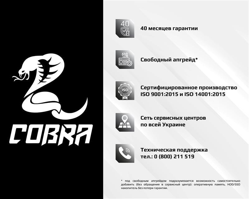 Персональный компьютер COBRA Advanced (A16.8.S9.15T.701) | ARAGO