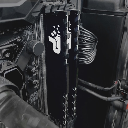 Модуль пам`яті DDR4 8GB/2666 Patriot Signature Premium (PSP48G266681H1) | ARAGO