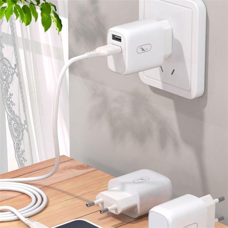 Зарядний пристрій SkyDolphin SC22EB (2USB, 2.1A) White (MZP-000161) | ARAGO